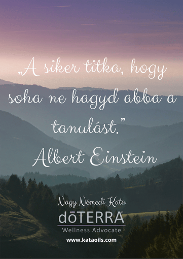 A siker titka